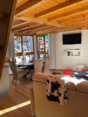 PLEIN SUD AMBIANCE CHALET